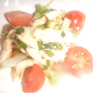 鶏のささみがトレンド☆　夏野菜のヘルシーサラダ